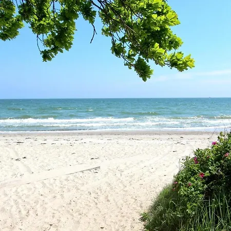 Apartmán Rex Rugia 11-3 Mit Sauna- Und Schwimmbadnutzung Im Ahoi Sellin